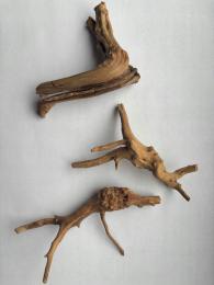 Korzeń S egzotyczny do terrarium dla pająka/modliszki/gada