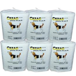 Cezar Pieluchy pampersy dla psa samca M 72szt samców 30-44cm