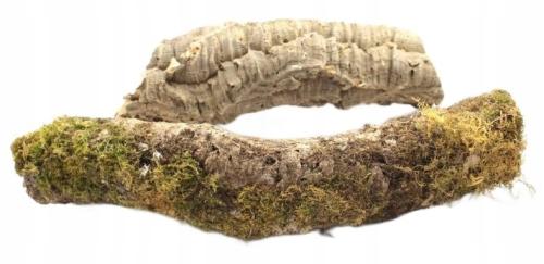 Gałęzie korkowe do terrarium 17-20cm