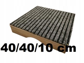 obedience psi dog fitness socjalizacja podest psa