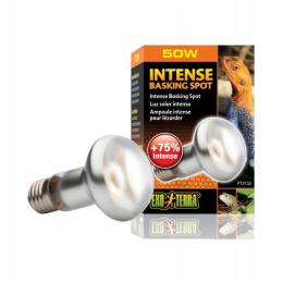 Exo Terra Żarówka do terrarium Day Glo Basking Spot 50 W