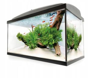 Wiwal Zestaw Akwarium Pokrywa Z Oświetleniem 35L Prosty 40x25x35 Proste