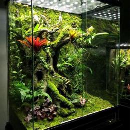 Hydrolon M żywa ścianka tło Terrarium Paludarium Wiwarium