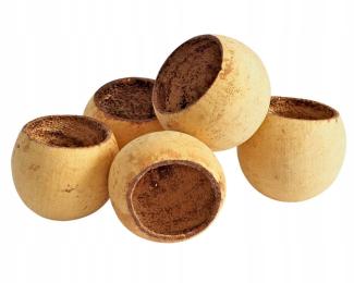 Bel Cup susz egzotyczny 5-7 cm wystrój terrarium