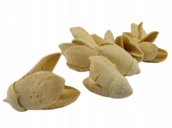 Bakuli 10szt wybielone Dekoracja Wystrój Wyposażenie Do Terrarium Dla Pająk