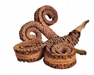 Rogi palmowe kręcone 12-17 cm wystrój terrarium