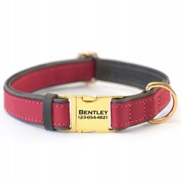 Obroża dla psa z imieniem Malina rozmiar M