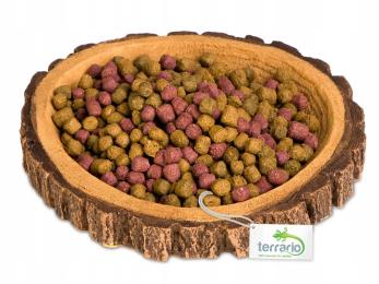 Miska do terrarium Tree Ring Bowl Xs 6x5x1cm Terrario