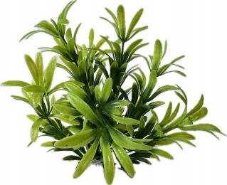 Roślinka Do Akwarium Terarium Sztuczna Ozdoba Dekoracja Zielona wys. 14CM