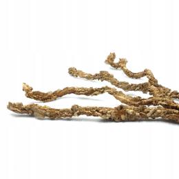 BioCork Liana korkowa 100cm do Terrarium