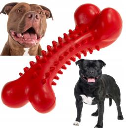 Zabawka dla psa Mocna Duża Kość z lanej gumy