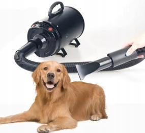 Suszarka Do Sierści Dla Psa I Kota Zwierząt Regulacja Nadmuchu Grooming
