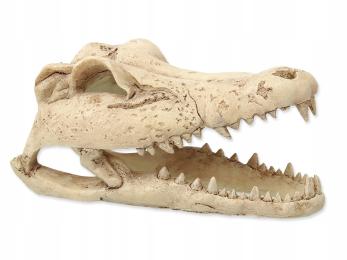 Czaszka krokodyla dekoracja do terrarium 13,8x6,8x6,5cm Repti Planet