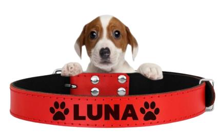 Obroża Skórzana Z Grawerem Dla Psa Kota Adresówka Rozmiar M 27-34cm