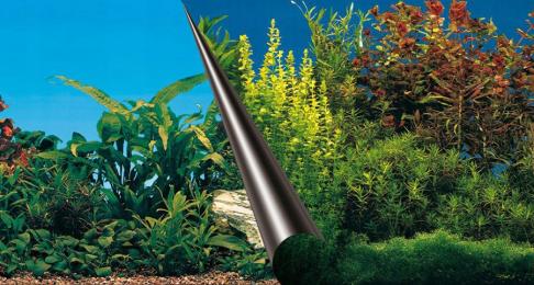 Ebi Tło dwustronne Beauty Sea 60x30cm Fototapeta