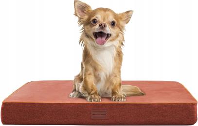 Legowisko Dla Zwierząt Psa Kota ortopedyczne piankowe rozmiar M 70x50x10