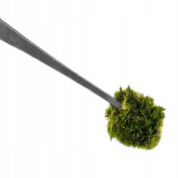 Pęseta Pinceta Prosta Sadzenie Roślin Sprzątanie Akwarium I Ostra