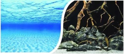 Tło fototapeta do akwarium T105 wysokość 30 cm docinane na wymiar