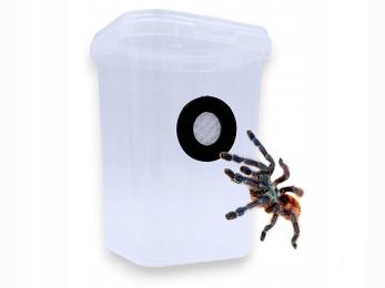 Pojemnik Z Wentylacją na ptasznika Wysoki, terrarium na pająka 8x8x11cm