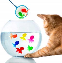 Zabawka Dla Kota Pływające Rybki Do Wyławiania Podbierak Wędkowanie Ryby