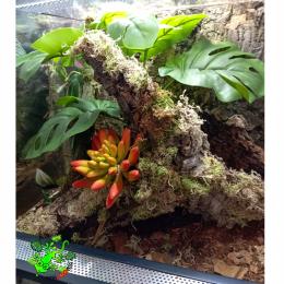 Am Amazoonia Monstera Philo Sztuczny bukiet do terrarium tropikalnego 30 cm