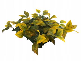 Tło Ścianka 25x25 Panel Roślinny Do Terrarium Wyposażenie Dla Pająka