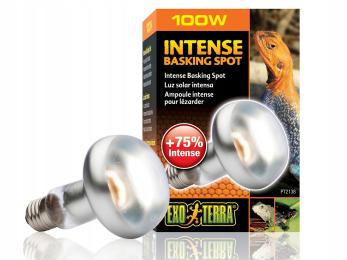 Mocna żarówka grzewcza Intense Basking Spot 100W Exo Terra EX-1382