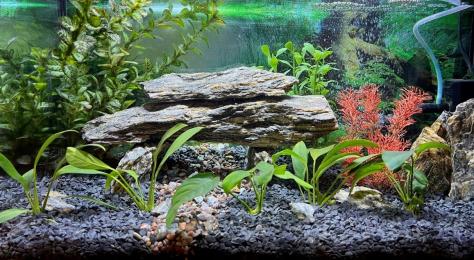 Otoczak Czarny Nero 2-4mm Kamień Dekoracja