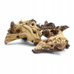 BioRoot Mopani S 10-20cm korzeń do akwarium i terrarium