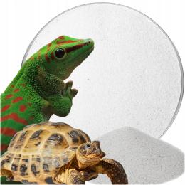 Piasek Pył Do Terrarium Dla Gadów Gekonów Żółwia Suchy Płukany Atest 2 Kg