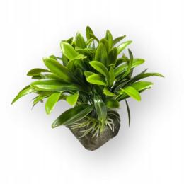 Sztuczna Roślinka Roślina do Akwarium Zielona Ozdoba wys. 12cm