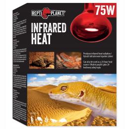 Repti Planet Żarówka Grzewcza Do Terrarium Podczerwień Infrared Heat 75W