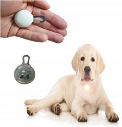 Lampka Led Świecąca Na Obrożę Zawieszka Dla Psa