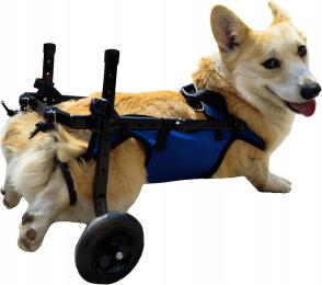 Dwukołowe Składane Wózki Inwalidzkie dla Psów