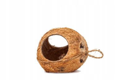 Kokos Korzen Piekna Ozdoba Do Akwarium I Nie Tylko