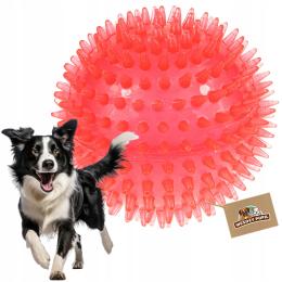 Zabawka dla psa Piłka Jeżyk piszcząca z kolcami masuje dziąsła duża 8cm