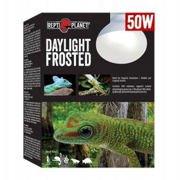 Żarówka grzewcza mleczna 50W Repti Planet