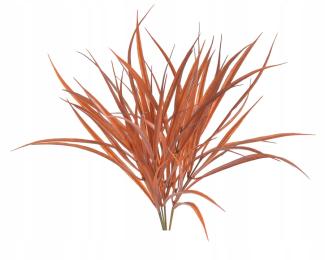 Dracena Trawa Czerwona Roślina dekoracja Terrarium