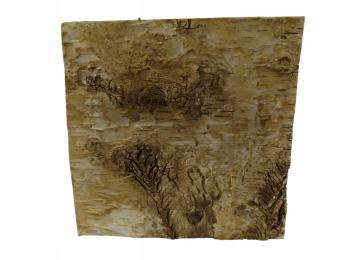 Tło Ścianka Kora 20x20 Do Terrarium Dekoracja Wyposażenie Dla Pająka