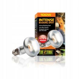 Exoterra Żarówka Intense Basking Spot 100W