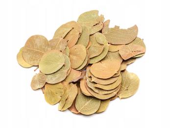 Liście do terrarium, wystrój Round Leaves ozdoba do detailingu 30g