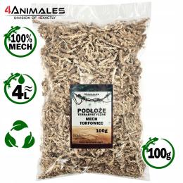 Mech Torfowiec, dekoracja terrarium, Sphagnum 100g 4 Litry