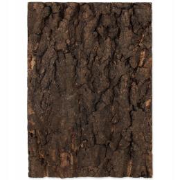 Repti Planet Tło z naturalnego korka do terrarium 30 x 45 cm