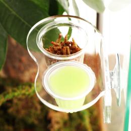 Miseczka Wieszana Dla Gekona Kameleona Wisząca