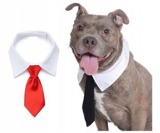 Krawat Dla Psa Kota Regulowany Czerw. L Śmieszne Ubranko