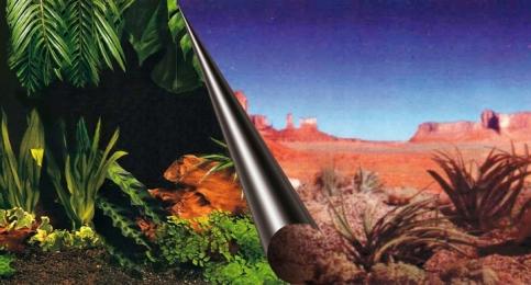 Ebi Fototapeta Tło Akwarium 80X40CM Jungle/Desert