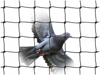 Siatka Na Balkon Na Gołębie Przeciw Ptakom 50X50mm Czarna Na Wymiar