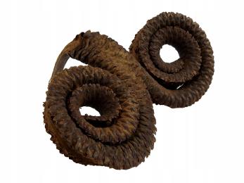 Baranie Rogi Dekoracja Wystrój Wyposażenie Do Terrarium Dla Pająka Gekona