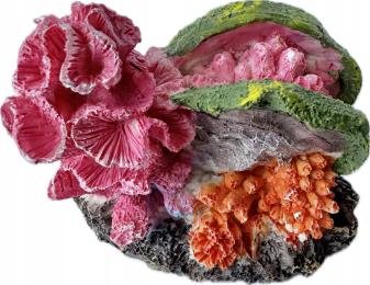 Rafa Koralowa Z Muszlą Do Akwarium Sztuczna Ozdoba Dekoracja