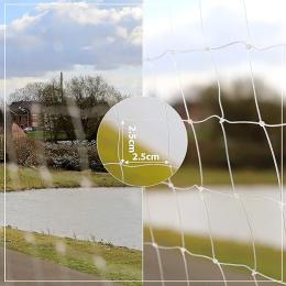 Siatka zabezpieczająca Lionto 3X4 m przezroczysty